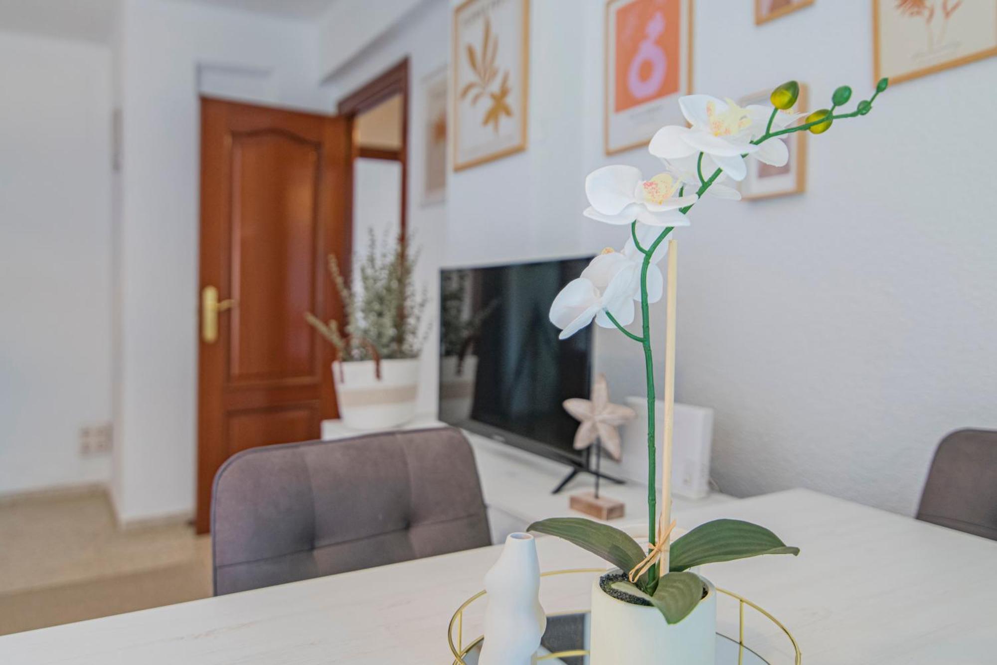Delfin Retreat Con Terraza Junto A Parada De Metro Apartment *